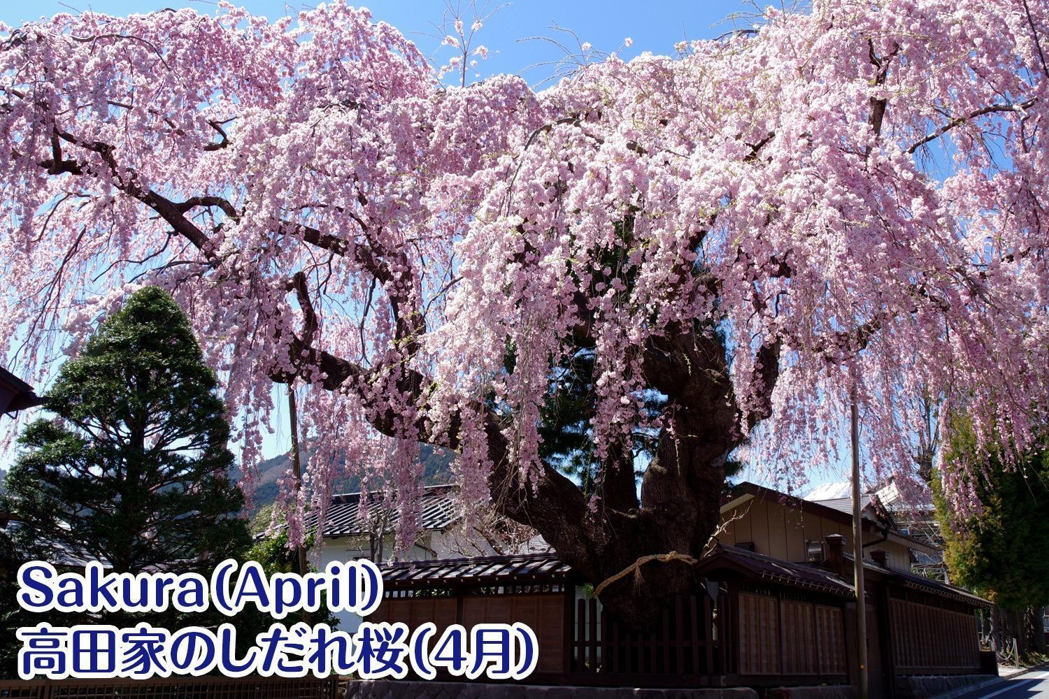 Nikko Stay House Arai - Vacation Stay 14988V Exterior foto